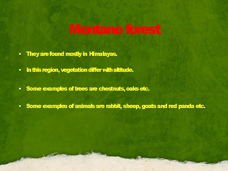 Montane forest • They are found mostly in Himalayas. • In this region, vegetation