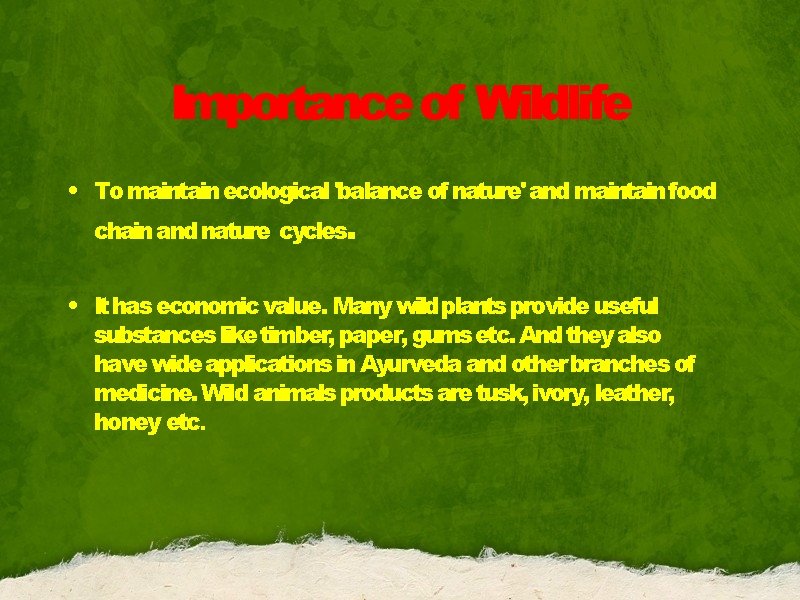 Importance of Wildlife • To maintain ecological 'balance of nature' and maintain food chain