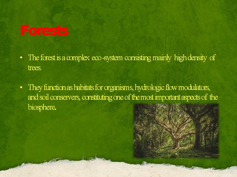 Forests • The forest is a complex eco -system consisting mainly high density of