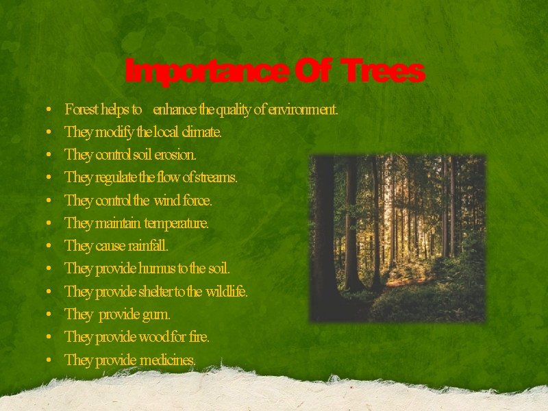 Importance Of Trees • • • Forest helps to enhance the quality of environment.