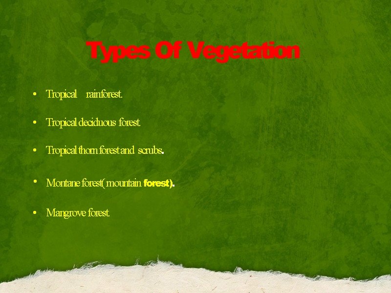 Types Of Vegetation • Tropical rainforest. • Tropical deciduous forest. • Tropical thorn forest