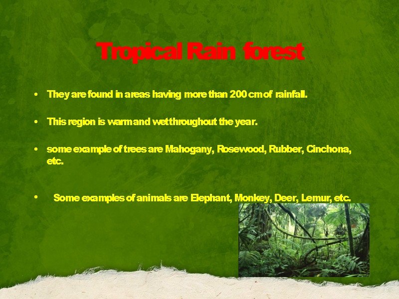 Tropical Rain forest • They are found in areas having more than 200 cmof