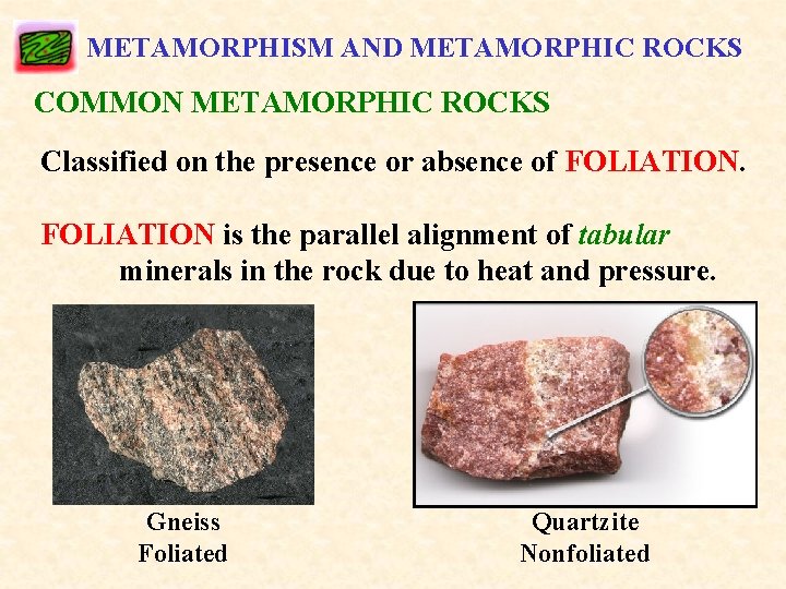 METAMORPHISM AND METAMORPHIC ROCKS COMMON METAMORPHIC ROCKS Classified on the presence or absence of