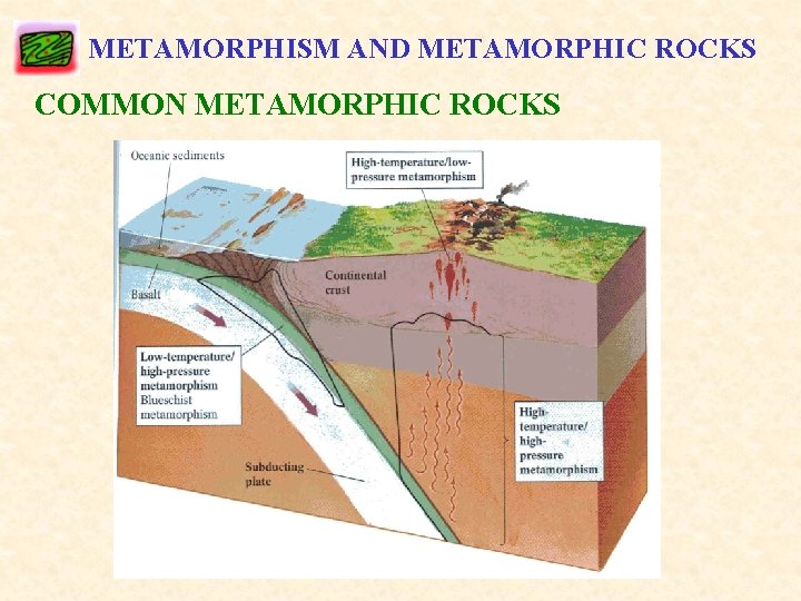 METAMORPHISM AND METAMORPHIC ROCKS COMMON METAMORPHIC ROCKS 