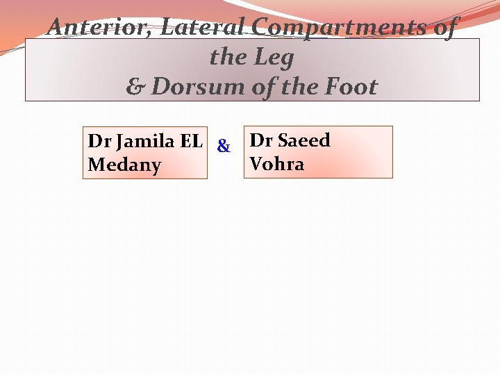 Anterior, Lateral Compartments of the Leg & Dorsum of the Foot Dr Jamila EL