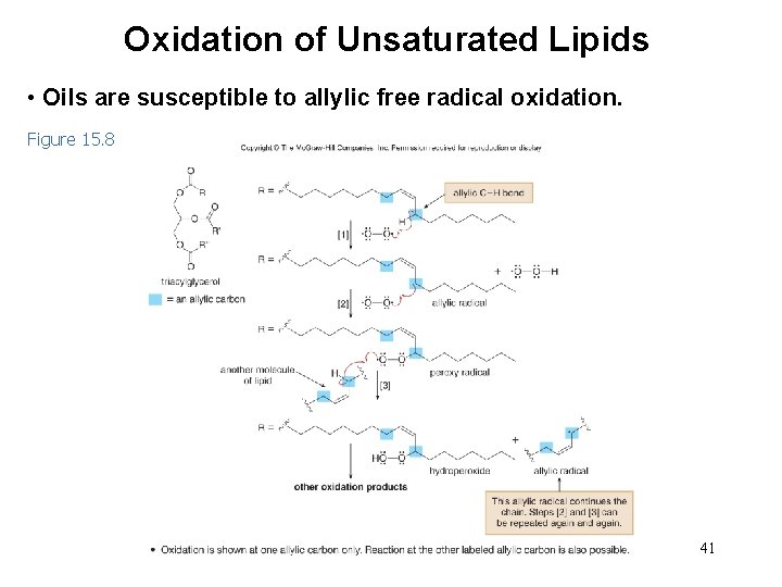 Oxidation of Unsaturated Lipids • Oils are susceptible to allylic free radical oxidation. Figure