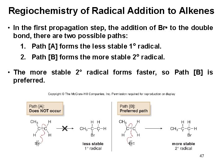 Regiochemistry of Radical Addition to Alkenes • In the first propagation step, the addition