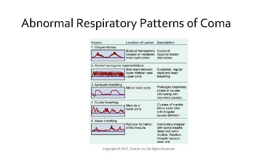 Abnormal Respiratory Patterns of Coma Copyright © 2017, Elsevier Inc. All Rights Reserved. Abnormal Respiratory Patterns of Coma Copyright © 2017, Elsevier Inc. All Rights Reserved.