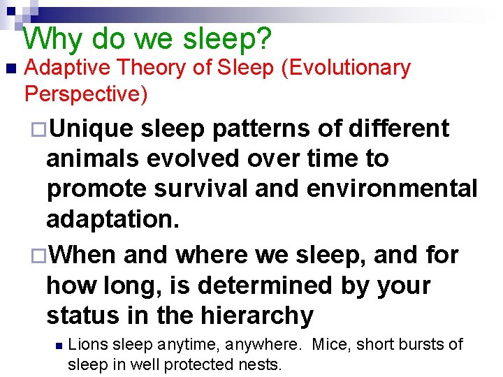 Why do we sleep? n Adaptive Theory of Sleep (Evolutionary Perspective) ¨Unique sleep patterns
