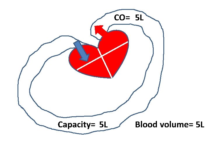 CO= 5 L Capacity= 5 L Blood volume= 5 L CO= 5 L Capacity= 5 L Blood volume= 5 L