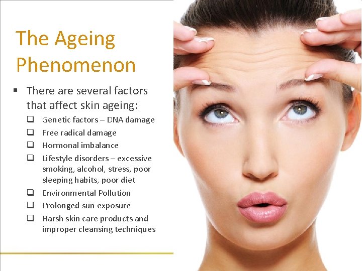 The Ageing Phenomenon § There are several factors that affect skin ageing: Genetic factors