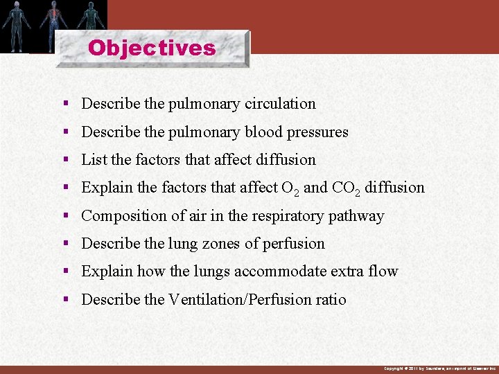 Objectives § Describe the pulmonary circulation § Describe the pulmonary blood pressures § List