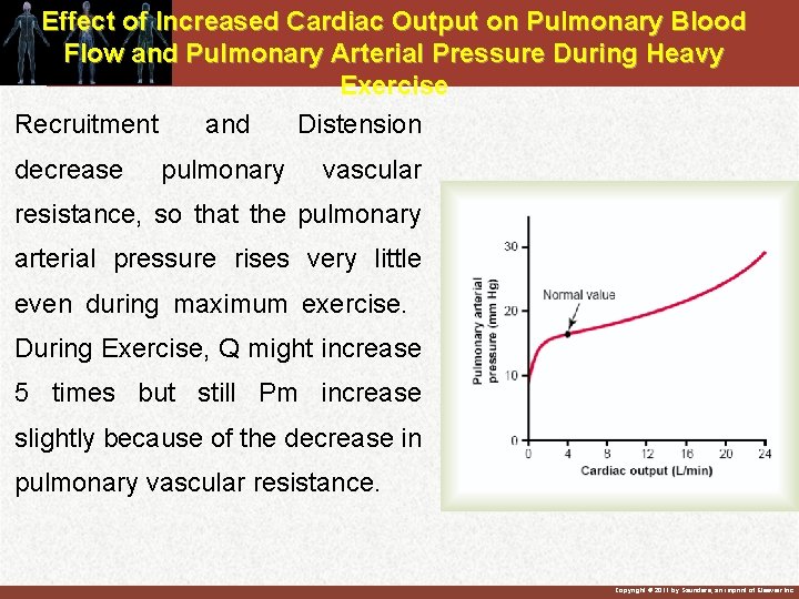 Effect of Increased Cardiac Output on Pulmonary Blood Flow and Pulmonary Arterial Pressure During