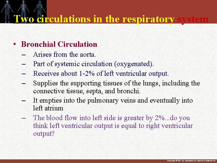 Two circulations in the respiratory system • Bronchial Circulation – – – Arises from Two circulations in the respiratory system • Bronchial Circulation – – – Arises from