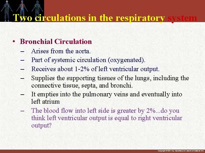 Two circulations in the respiratory system • Bronchial Circulation – – – Arises from