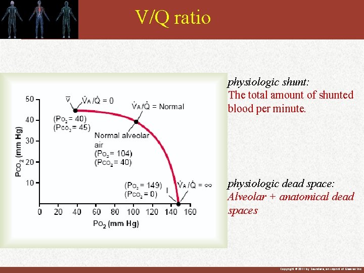 V/Q ratio physiologic shunt: The total amount of shunted blood per minute. physiologic dead