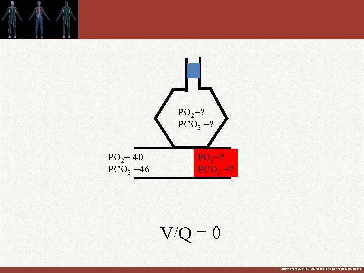 PO 2=? PCO 2 =? PO 2= 40 PCO 2 =46 PO O 2=? PO 2=? PCO 2 =? PO 2= 40 PCO 2 =46 PO O 2=?