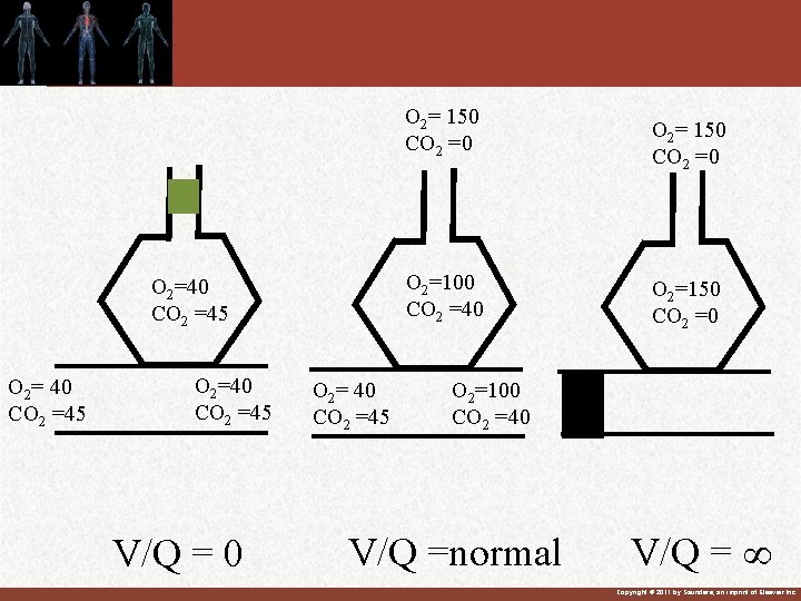 O 2= 150 CO 2 =0 O 2=100 CO 2 =40 O 2=40 CO