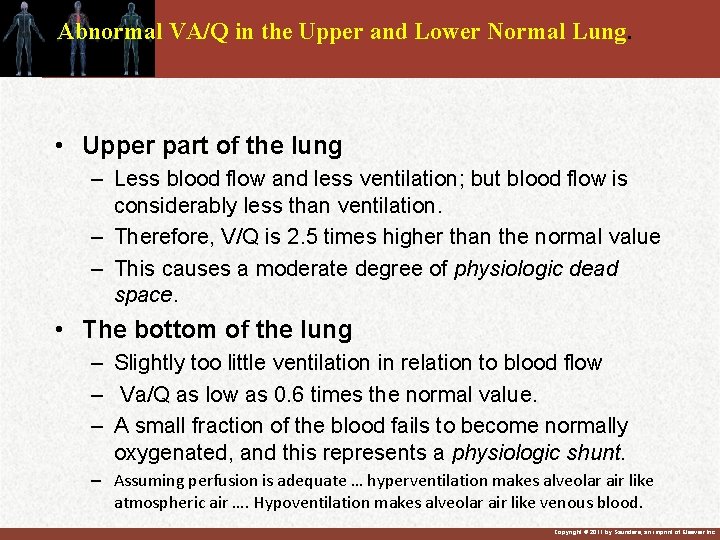 Abnormal VA/Q in the Upper and Lower Normal Lung. • Upper part of the