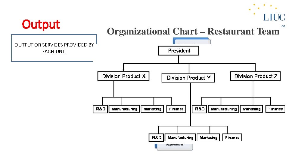 Output OUTPUT OR SERVICES PROVIDED BY EACH UNIT 13 