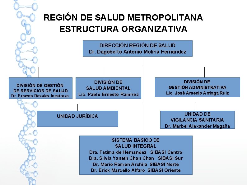 REGIÓN DE SALUD METROPOLITANA ESTRUCTURA ORGANIZATIVA DIRECCIÓN REGIÓN DE SALUD Dr. Dagoberto Antonio Molina