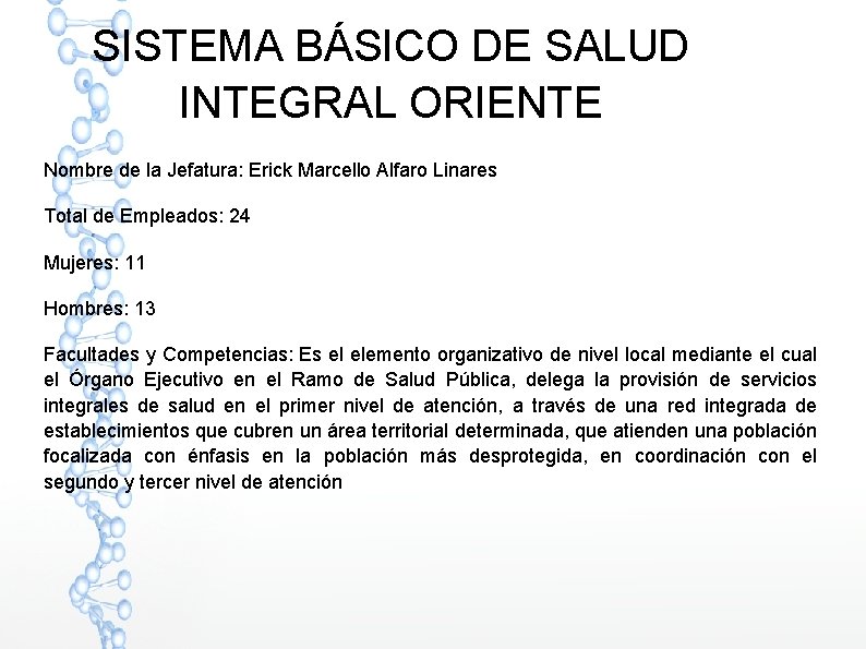 SISTEMA BÁSICO DE SALUD INTEGRAL ORIENTE Nombre de la Jefatura: Erick Marcello Alfaro Linares