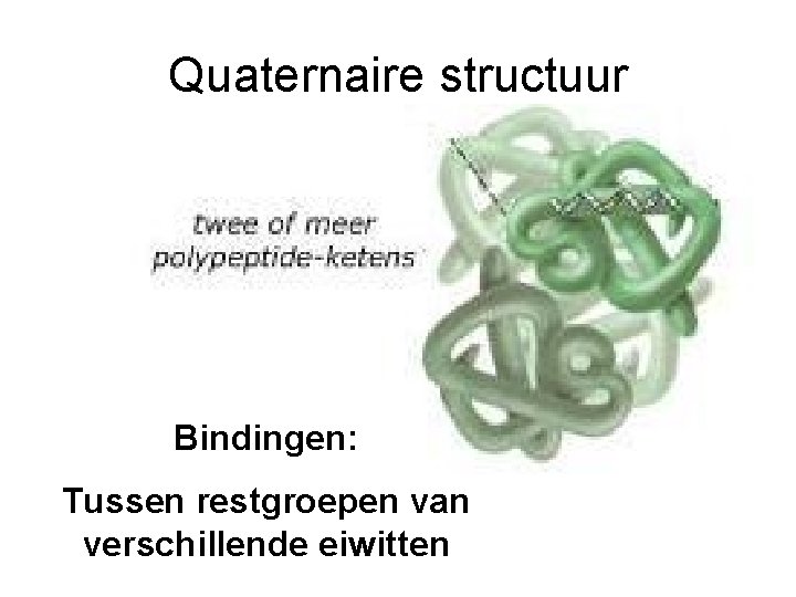 Quaternaire structuur Bindingen: Tussen restgroepen van verschillende eiwitten 