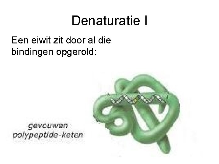 Denaturatie I Een eiwit zit door al die bindingen opgerold: 