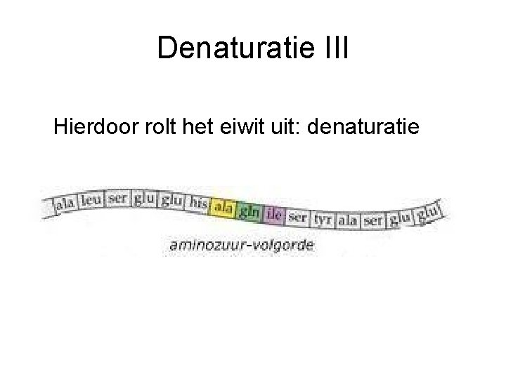 Denaturatie III Hierdoor rolt het eiwit uit: denaturatie 