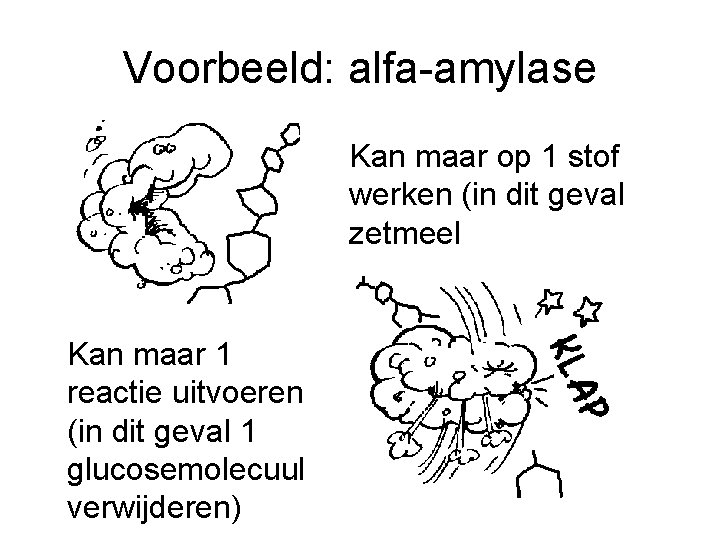 Voorbeeld: alfa-amylase Kan maar op 1 stof werken (in dit geval zetmeel Kan maar