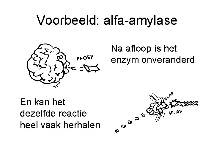 Voorbeeld: alfa-amylase Na afloop is het enzym onveranderd En kan het dezelfde reactie heel