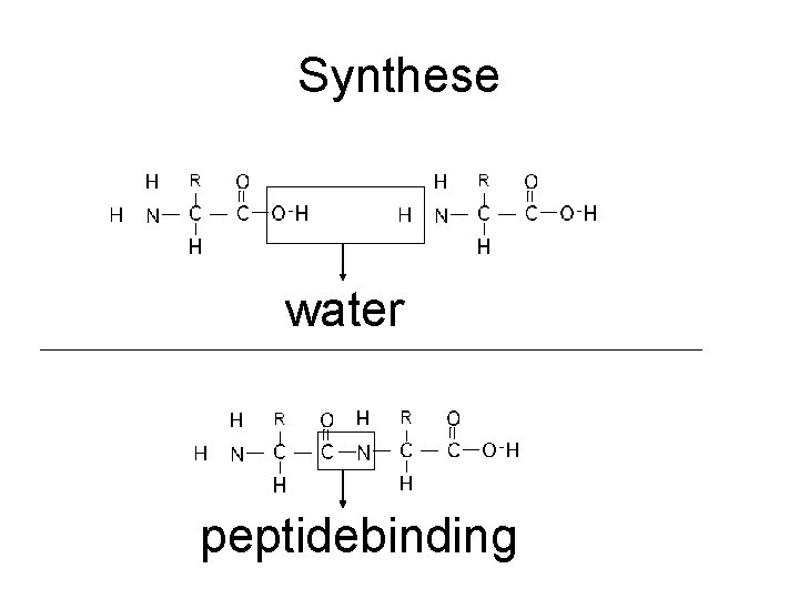 Synthese water peptidebinding 