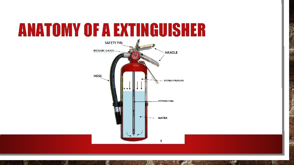 ANATOMY OF A EXTINGUISHER 