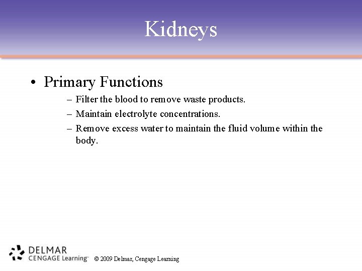 Kidneys • Primary Functions – Filter the blood to remove waste products. – Maintain