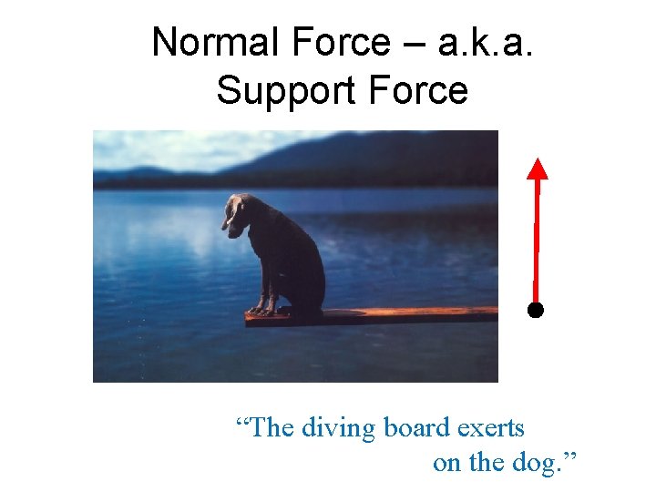 Normal Force – a. k. a. Support Force “The diving board exerts on the