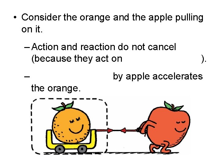  • Consider the orange and the apple pulling on it. – Action and