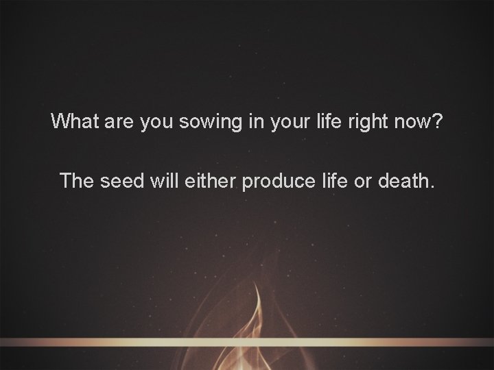 What are you sowing in your life right now? The seed will either produce