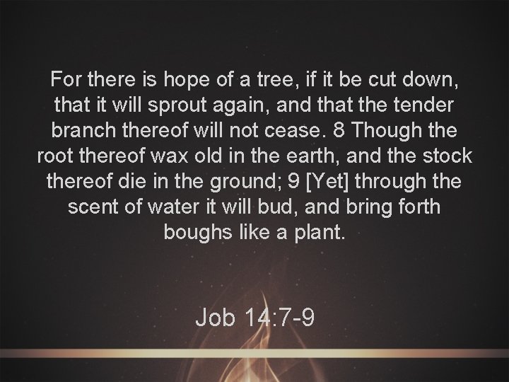 For there is hope of a tree, if it be cut down, that it