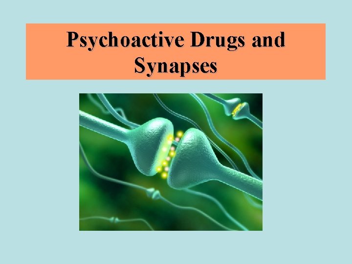 Psychoactive Drugs and Synapses 