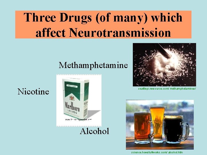 Three Drugs (of many) which affect Neurotransmission Methamphetamine Nicotine seattlepi. nwsource. com/ methamphetamines/ Alcohol