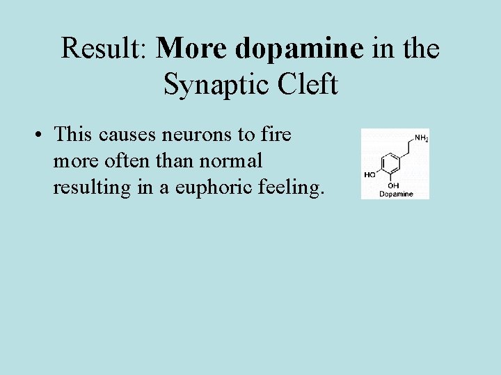 Result: More dopamine in the Synaptic Cleft • This causes neurons to fire more