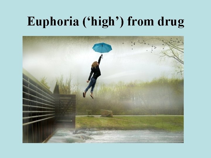 Euphoria (‘high’) from drug 