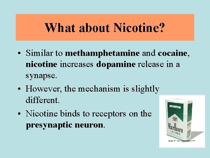What about Nicotine? • Similar to methamphetamine and cocaine, nicotine increases dopamine release in