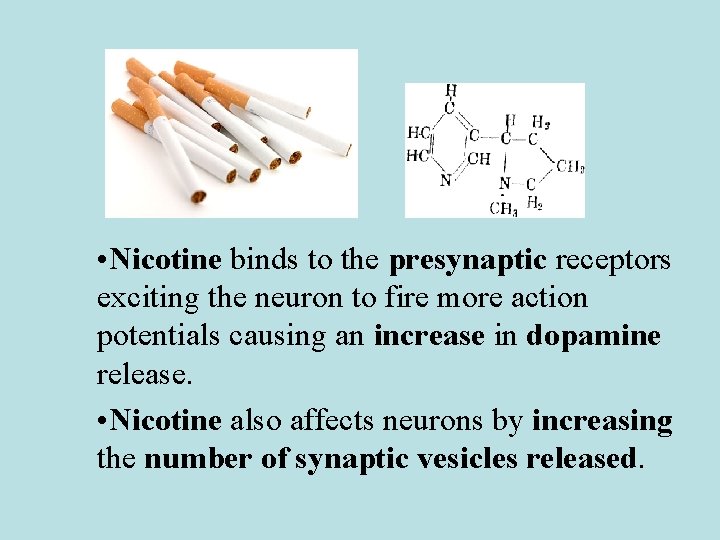  • Nicotine binds to the presynaptic receptors exciting the neuron to fire more