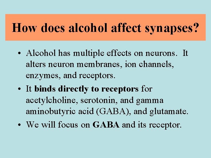 How does alcohol affect synapses? • Alcohol has multiple effects on neurons. It alters
