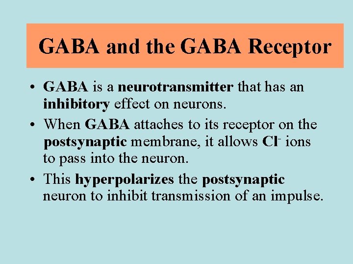 GABA and the GABA Receptor • GABA is a neurotransmitter that has an inhibitory