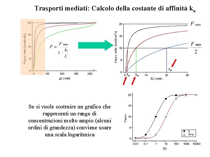 Trasporti mediati: Calcolo della costante di affinità ka 20 Flusso netto [moli/(cm ×s] 2