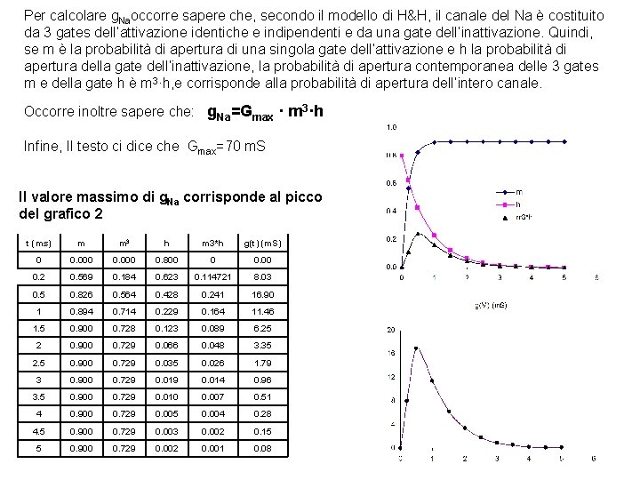 Per calcolare g. Naoccorre sapere che, secondo il modello di H&H, il canale del