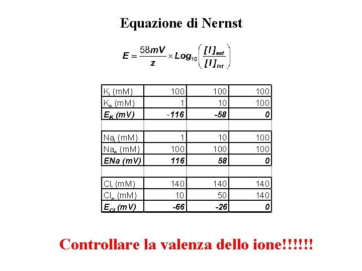 Equazione di Nernst Ki (m. M) Ke (m. M) EK (m. V) 100 1