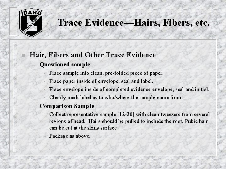 Trace Evidence—Hairs, Fibers, etc. n Hair, Fibers and Other Trace Evidence – Questioned sample Trace Evidence—Hairs, Fibers, etc. n Hair, Fibers and Other Trace Evidence – Questioned sample
